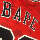 1997/98 Bulls BAPE×M&N #93 Red NBA Jerseys