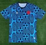 2023/24 Denmark Training Jersey