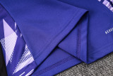2024/25 Germany Purple Sweater Tracksuit