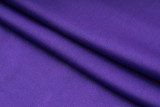 2024/25 Germany Purple POLO Training Tracksuit