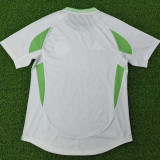 2024/25 Algeria Special Edition Player Version Jersey