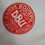 2023/24 Denmark Away White Fans Soccer Jersey