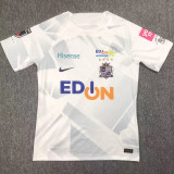 2024 Hiroshima Sanfrecce Away Fans Soccer Jersey(广岛三箭)