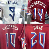 2024/25 Norway Away White Player Version Soccer Jersey