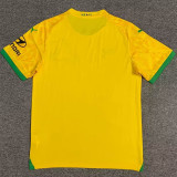 2023/24 Mamelodi Sundowns Yellow Fans Soccer Jersey 马梅洛迪日落