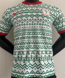 2023/24 Nigeria Player Version Training Jersey