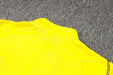 2024/25 Flamengo Yellow Sweater Tracksuit