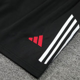2025 M Utd Red Vest Training Jersey(A Set)