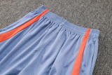 2024/25 In Milan Light Gray Vest Training Jersey(A Set)