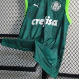 2023/24 Palmeiras Home Green Vest Jersey