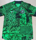 2022/23 Nigeria Home Green Fans Soccer Jersey