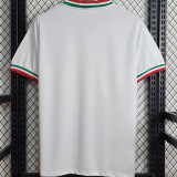 2022/23 Palmeiras Special Edition White Fans Soccer Jersey