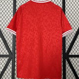 2024/25 Denmark Home Red Fans Soccer Jersey
