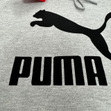 2024/25 Puma Grey Hoody