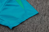2024/25 Portugal Light Green Training Jersey(A Set)