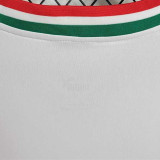 2022/23 Palmeiras Special Edition White Fans Soccer Jersey