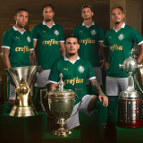 2024/25 Palmeiras Home Green Vest Jersey