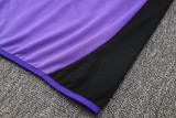 2024/25 Germany Purple Jacket Tracksuit