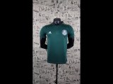 2014/15 Palmeiras Home Centenary Green Retro Jersey