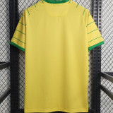 2023/24 Nantes 80th Anniversary Edition Yellow Fans Soccer Jersey