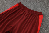2024/25 Internacional Red Training Tracksuit 七分裤