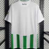 JOAQUÍN #17 R BTS Home Fans Soccer Jersey 2023/24 新款 有号下广告