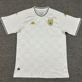 2025 Tunisia Training Soccer Jersey 突尼斯