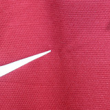 2012 Portugal Home Retro Player Version Long Sleeve Soccer Jersey 球员版长袖
