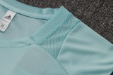 2025/26 Cruzeiro Light Green Vest Training Jersey(A Set)