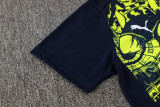2025/26 Man City  Training Jersey(A Set)