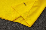 2025/26 BVB  Yellow Training Jersey(A Set)