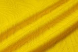 2025/26 BVB  Yellow Vest Training Jersey(A Set)