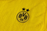 2025/26 BVB  Yellow Training Jersey(A Set)