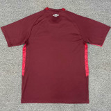 2025/26 Lanús Home Fans Soccer Jersey   拉努斯