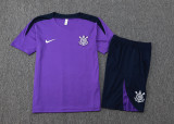 2025/26 Corinthians Purple Training Jersey(A Set)