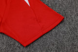 2025/26 PSG Red Vest Training Jersey(A Set)