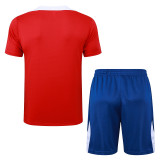 2025/26 PSG Red Vest Training Jersey(A Set)