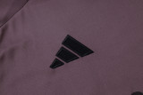 2025/26 ARS Grey Purple Training Jersey(A Set)