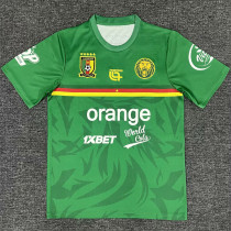2025/26 Cameroon Training Soccer Jersey