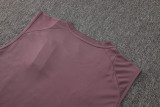 2025/26  ARS Grey Purple Vest Training Jersey(A Set)