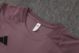 2025/26  ARS Grey Purple Vest Training Jersey(A Set)