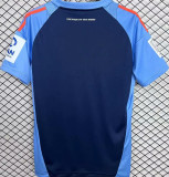 2025 Hamburger SV Special Edition Fans Soccer Jersey 汉堡