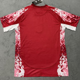 2025 M Utd Special Edition Fans Soccer Jersey