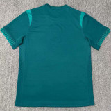 2025/26 Nigeria Away Green Fans Soccer Jersey