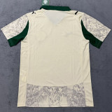 2025/26 Palmeiras Third Fans Soccer Jersey