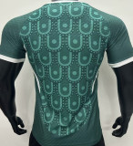 2025 Mexico Special Edition Player Version Soccer Jersey