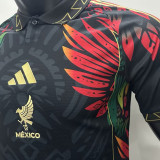 2025 Mexico Special Edition Player Version Soccer Jersey 肩膀边红边绿