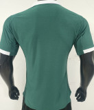 2025/26 Plymouth Argyle Home Green Player Version Soccer Jersey