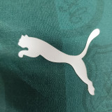 2025/26 Plymouth Argyle Home Green Player Version Soccer Jersey