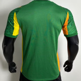 2025 BVB Away Green Player Version Soccer Jersey